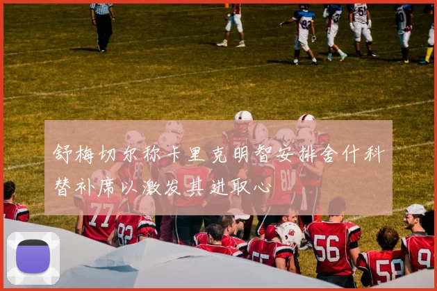 舒梅切尔称卡里克明智安排舍什科替补席以激发其进取心